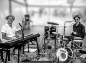 photo Concert : Blue Pulse
