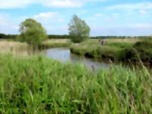 photo Randonnée dans les marais des Ponts d'Ouve
