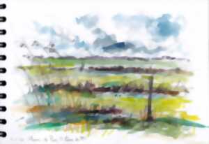 photo Croquis dans les marais