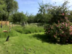 photo La nature dans tous les sens