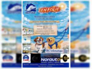 photo Randonnées canines