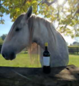 photo Journée Oenotourisme au Vignoble Au Pas du Cheval