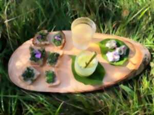 photo Sortie Découverte des plantes sauvages comestibles