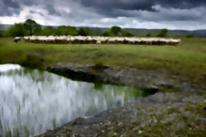 photo Exposition ParcourS - Visite sensorielle
