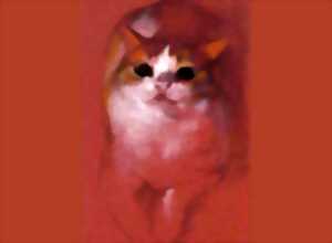 photo Rencontres de chats - exposition de Yve Li