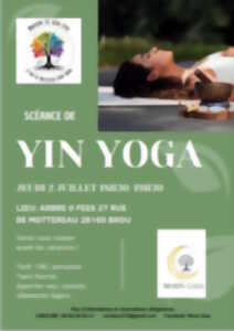 photo Séance de Yin Yoga