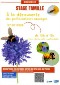 photo Stage famille - A la découverte des pollinisateurs sauvages