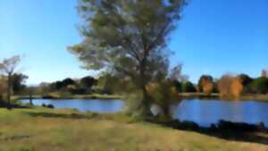 photo LES « GUINGUETTES DU LAC »