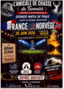 photo Coupe du monde de Football : Retransmission France / Norvege