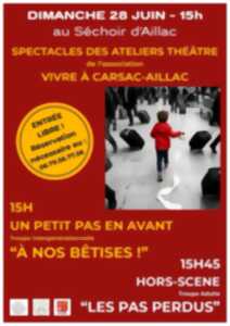photo Spectacle des ateliers théâtre