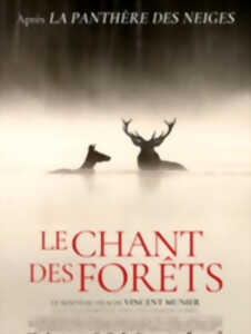 photo Cinéma en plein air : Le chant des forêts