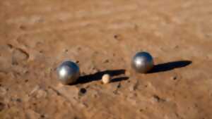 photo Concours de pétanque