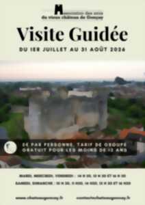 photo Visite guidée au Château de Gençay