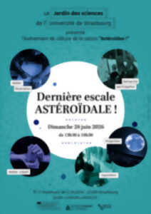 photo Dernière escale astéroïdale !