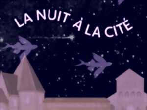 photo La Nuit à la Cité