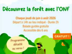 photo Balades Les Forestivités du Jeudi