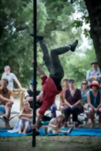 photo VIEILLE BRANCHE