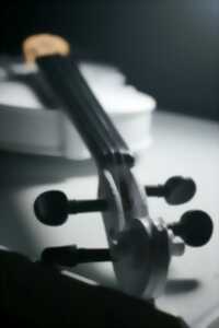 photo Violon et  l’alto