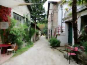 photo LES VENDREDIS AU MOULIN