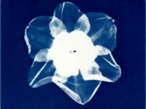 photo Initiation au cyanotype