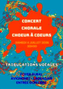 photo TRIBULATIONS VOCALES