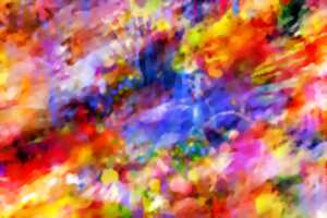 photo MAIND'ART