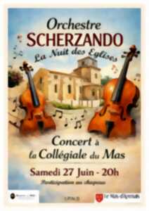 photo Orchestre Scherzando - La Nuit des Eglises