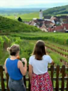 photo Petit déjeuner dans les vignes !