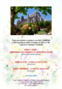 photo Bals Champêtres au Jardin