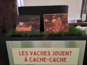 photo Exposition 