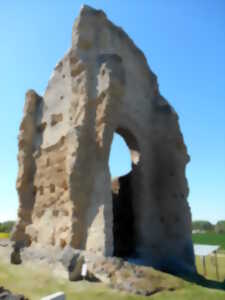 photo Balade patrimoine au Vieux Poitiers (Naintré)