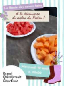 photo A la découverte du melon du Poitou