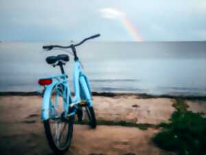 photo Balade naturaliste à vélo - havre de la Sienne