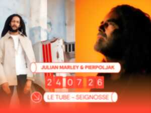 photo Concert - Julian Marley et Pierpoljak