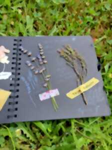 photo Création d'un carnet nature