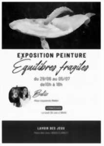 photo Exposition Equilibres Fragiles