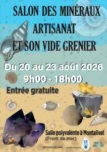 photo Salon des minéraux artisanat et vide grenier