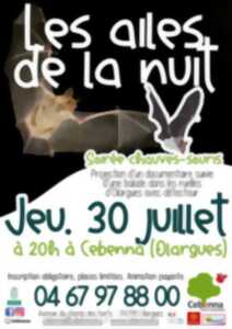 photo SORTIE NOCTURNE : CHAUVE QUI PEUT !