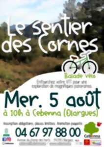 photo BALADE VTT : LE SENTIER DES CORNES