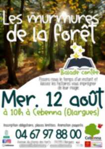photo BALADE CONTÉE : LES MURMURES DE LA FORÊT