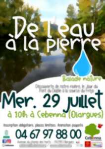 photo BALADE EN BORD DE RIVIÈRE : DE L’EAU À LA PIERRE