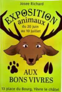 photo Exposition animaux