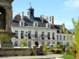 photo Visite guidée - L'Hôtel de Ville de Châteaudun