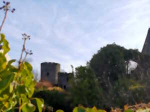 photo Visite guidée - Le château de Bois-Ruffin et la chapelle Saint-Benoist