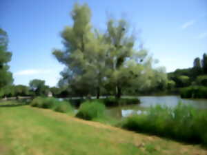 photo Randonnée dans les communes à Pleumartin