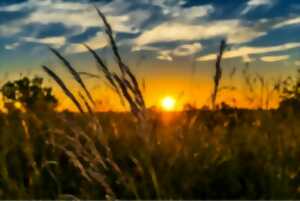photo Balade au coucher du soleil à Mairé
