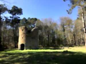 photo Donjon et moulin de Pirou