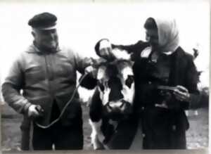 photo Marais du Bauptois : l'or des communs