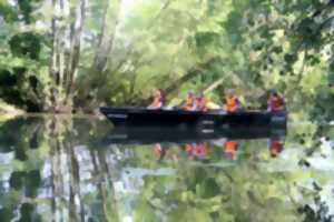 photo Balade en barque sur la Sarre: Ornith'eau