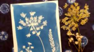photo Atelier : cyanotype